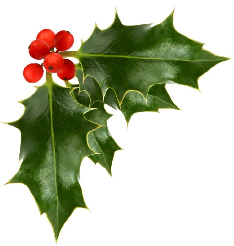 sechrist brothers meats inc christmas stores pa